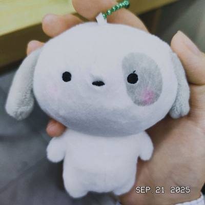 四叶草小狗挖煤体验!