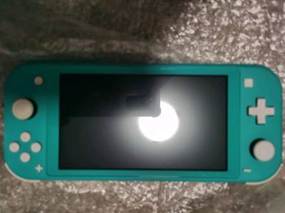 绿色Switchlite造型清新，便携性极佳。性能足以流畅运行所有NS原生掌机游戏，最主要是小巧方便携带，美美哒