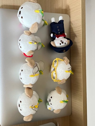 任意门第二次体验