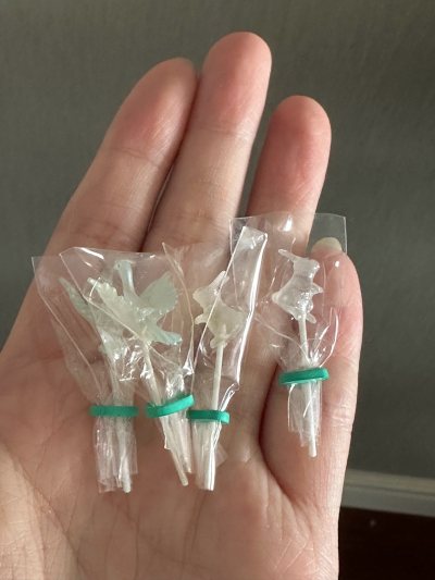 挖煤姬真是海淘宝藏！商品描述详细，图片清晰，沟通顺畅。物流包装严实，速度也比预想的快。到手物品成色完美，性价比超高。一次非常满意的购物体验，强烈推荐！