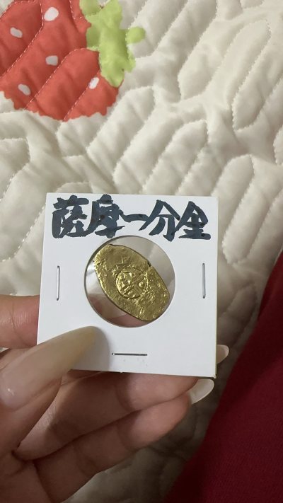 新藏品get！