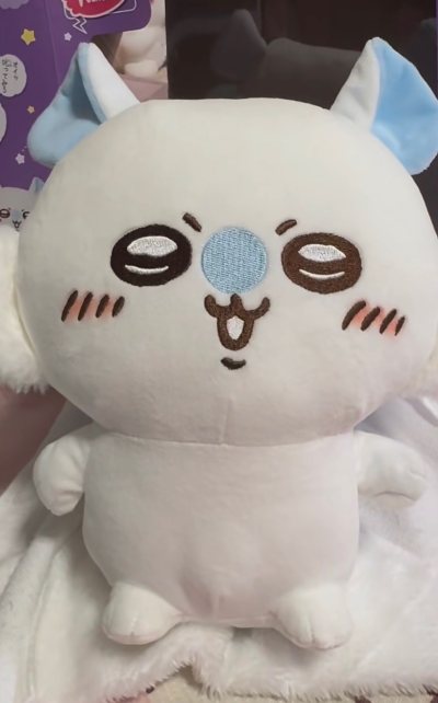 飞鼠好可爱啊啊啊