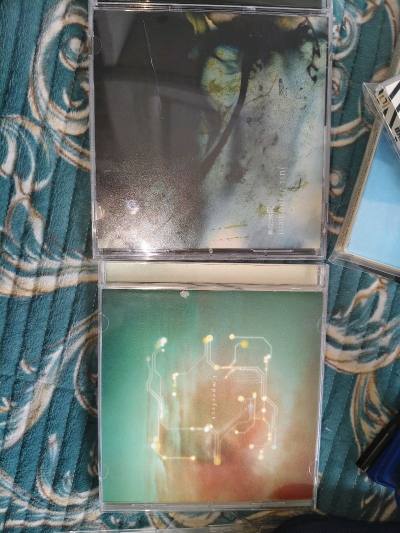 这个月在挖煤姬海淘的米津玄师CD到货了，首先最重要的是TK的flowering初回限定盘，收录了录音室演唱会，然后是凛冽时雨的#4，i&amp;#39;mperfect，just A moment收录了很多经典曲目，海淘也很便宜，接着是ONE OK ROCK 的an...