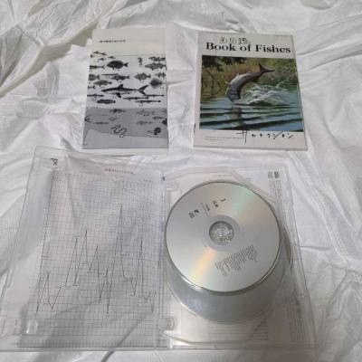 非常好挖煤姬，使我CD旋转，发货的包装真的包装的特别好，而且感觉合单的时效比之前好多了，物流运输这方面也更放心了！
