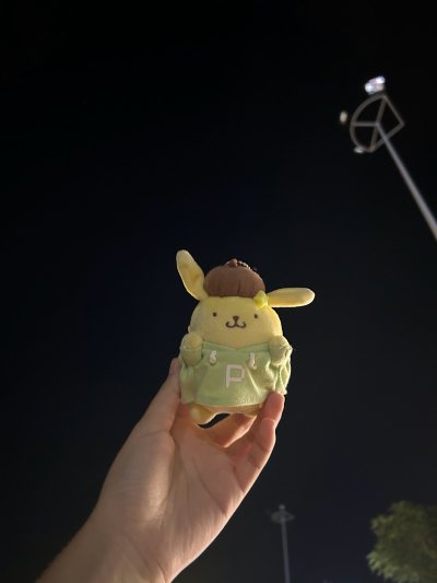 这次在挖煤姬捡漏了几个布丁玩偶，合箱之后就一个小盒子包得很严实，物流走竹蜻蜓kr线，合单有些慢可能是因为在国庆，后面还是挺快的！
