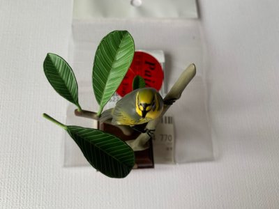 新手友好，在骏河屋分店切到了ikimon的绝版小笠原扭蛋，标得是中古品，实际到手并没有找到什么瑕疵，快递也比预想的快，扭蛋本来的配件很容易断，买了加固服务，整箱到货无损，很满意的一次购物