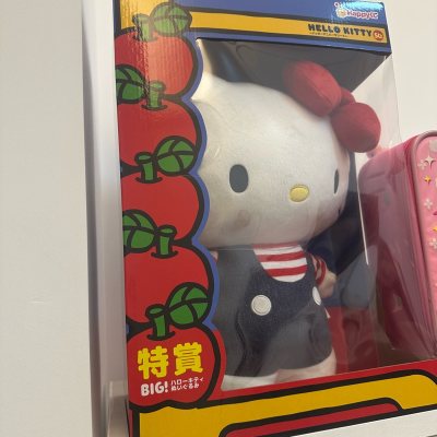 巨可爱的kitty！超级大一个，走的海运，本来以为会要一个多月，实际二十天就到了，包装巨厚实，kitty盒子没有压扁！太棒咯！以后海淘还选挖煤姬！