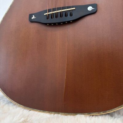 Ovation 