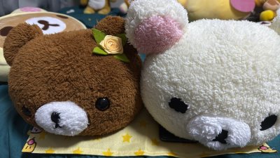 对新手非常非常友好，
用来包装的箱子很结实，泡沫包裹的很全面，都把物品保护的很好，吊牌一点折痕都没有。
有问题提交工单也都能得到很及时的回复！支持