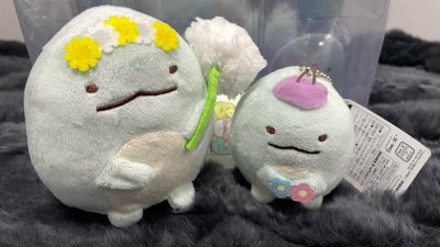 任意门，我看行！