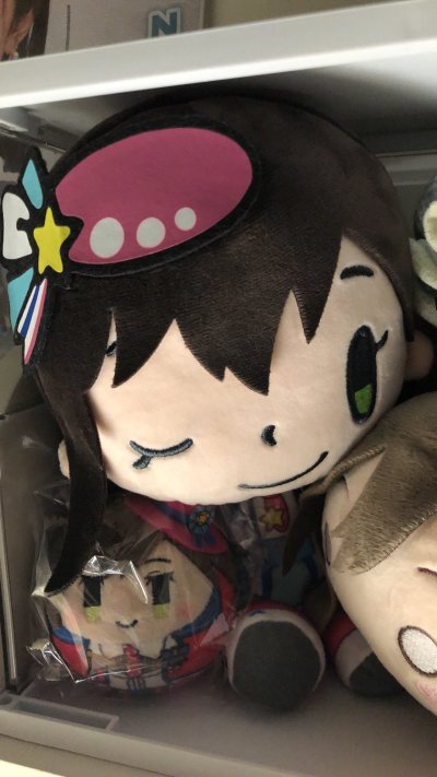品質も可愛さも両方満足！アニメファン必買ぬいぐるみ