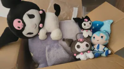 从挖煤姬下单的毛绒收到啦，这次走的是竹蜻蜓puls，免税路线到家，很划算，运费也只要40出头，很便宜！也很快就到家了差不多一星期，很快，挖煤姬是个很不错的选择！