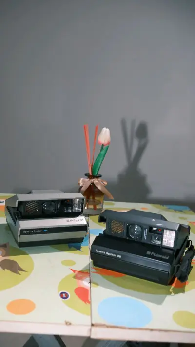 一场跨越时光的购物邂逅：宝丽来Spectra System宽幅相机收藏记
 
在数字摄影铺天盖地的当下，我却迷上了复古即时成像的魅力。一次偶然的机会，我在一家胶片爱好者论坛上看到了宝丽来Spectra System系列相机的图片，那独特的宽幅造型和复古质感瞬间击中了...