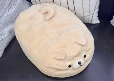 谁能拒绝一只软乎乎、圆滚滚的柴犬抱枕呢？在挖煤姬上淘到的这个小家伙，简直是秋日宅家的治愈神器！

它的毛绒软到让人忍不住一直rua，奶fufu的颜色特别温柔，圆滚滚的身材抱起来超有安全感，不管是当抱枕还是靠垫都很绝。每次看到它那呆萌的小表情，所有的疲惫都被治愈了~
...