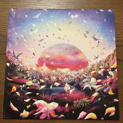 这次花了蛮多钱在日拍拍了许多稀有的黑胶藏品，快递包装还是一如既往的好，收到货之后没有什么磕碰和磨损，以后还会继续在这里买