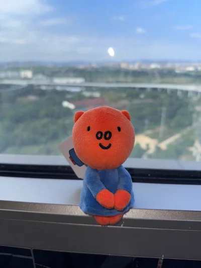 刚入坑，特别喜欢这只猪猪，但是翻遍了国内的二手平台都没有找到，结果煤炉刷了两天就买到了！运回国内也很方便，选好合适的路线付款就好了！