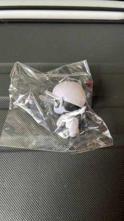 这次在挖煤姬代购日谷的经历堪称完美！通过挖煤姬app，终于抢到一套品相良好的日谷。从下单、日本国内集运到跨境邮寄，全程物流透明。而且竹蜻蜓合单非常方便，收到周边时还细心做了泡泡膜保护。喜欢的周边到的那一刻，让所有等待都变得值得。