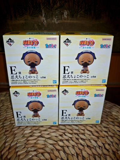 一定要给大家疯狂安利挖煤姬这个宝藏平台！