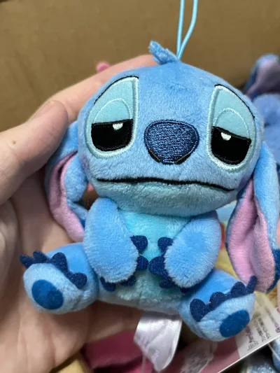 瞌睡眼史迪仔和安琪！
你说的是海淘平台“挖煤姬”吧~这次在挖煤姬入的史迪仔和安琪毛绒也太惊喜了！物流速度比预期快好多，包装严实得连小挂件的吊牌都没折到，价格算下来比直接收国内现货香太多，客服回复也很及时，第一次海淘就这么顺利，以后蹲日货周边就认准挖煤姬啦！