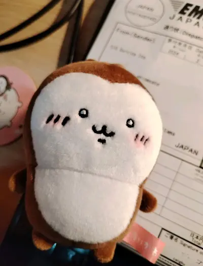 作为一个喜欢日系毛绒玩具但又担心国际代购麻烦的新手，这次用挖煤姬的体验真的让我惊喜！特地来写个长评，给同样想买小件物品的朋友们参考。

我买了一只chiikawa小鼻嘎毛绒，状态几乎是全新的，还带着原装吊牌。在国内平台找了好久，要么价格虚高，要么品相不好，终于在这里...