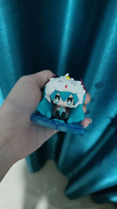 日淘任意门平台东西丰富，能遇见自己喜欢的东西，这次购买我喜欢初音未来手办，选择走拼团，20多天就到达，包装非常好无损坏，体验感非常好。