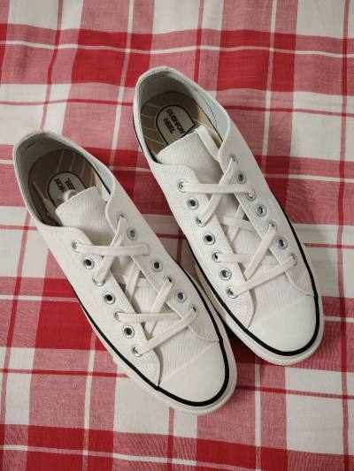 白低 白低 白低