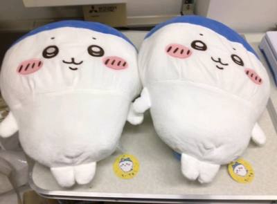 挖煤姬切的第一单，体验感很好，这单走的EMS，包裹很严实，还包了泡沫纸，东西完全都没有损伤，因为这单里面有书所以走了小航空，送货审核大概是三四天，东西也很好，选择挖煤姬页面简洁方便，适合新人用，第一次切很开心，孩子太萌了！