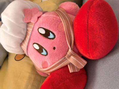 又一箱卡比到了，选的竹蜻蜓，运费很划算，也不用自己填单报关非常方便，箱子很结实，泡沫纸保护卡比很好，吊牌都是完好的！赞！