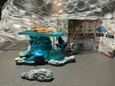 这一单到手后看了下包装，里面的填充材料还可以，东西都没损坏，任意门包装还是可以的，这个dp2的水图鉴组很好看，后面蹲到煤炉打折加上折扣的券才拍下这组，品相还行，收到之后很开心，也很实惠。