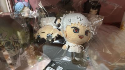 挖煤姬切的第4单，体验感很好，这单走的竹蜻蜓Plus，包裹很严实，还包了泡沫纸，东西完全都没有损伤，送货审核大概是七八天，东西也很好，选择挖煤姬页面简洁方便