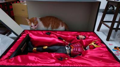 由unifive在20多年前出的大比例空我全能形态雕像，附有五代雄介的头雕，按20多年前的技术来说做的也算是像样的了，肩甲也巧妙运用软胶件连接，虽然因体积太大，本体和运费对半分，但总价还是比国内便宜不少～