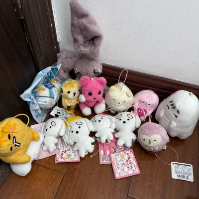 作为沉迷毛绒玩偶的收藏狂，试过不少海淘平台，最终还是被挖煤姬的“捡漏实力”圈粉！整合煤炉、骏河屋等日淘热门渠道，中古毛绒、限定款、联名款一站式搜齐，关键词筛选超精准，那些国内有价无市的绝版款、小众IP限定款，在这里总能找到惊喜。
最让人安心的是仓储和物流！东京仓库提...