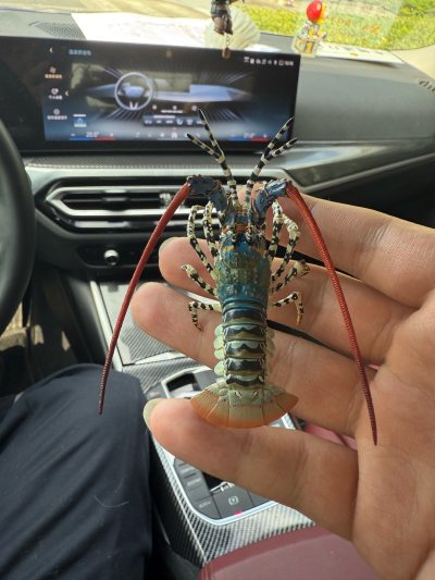 任意门十一月好物分享