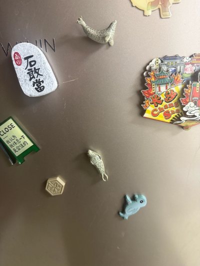 挖煤姬《我的心愿清单》月初刷挖煤姬时，一眼被海豹系列种草——圆滚滚的冰箱贴和小巧徽章超戳心，蹲了3天补货果断all in。竹蜻蜓还挺快，收到货拆开，冰箱贴质感细腻、贴合力强，徽章别在帆布包上超吸睛，每次用都被可爱到，完全没辜负期待！#我的愿望清单#海洋堂#徽章#挖煤...