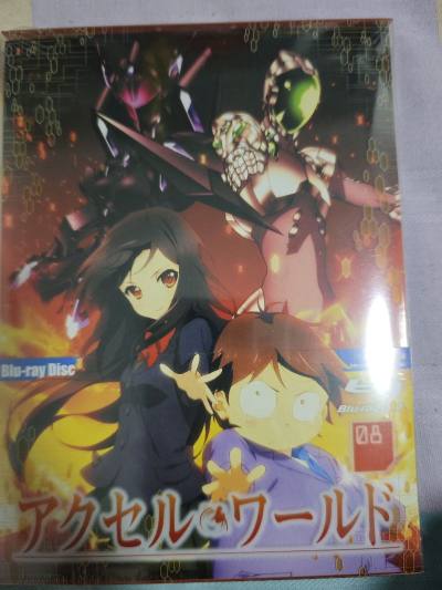 在任意门收到的第2个包裹，买到了全新未拆封的加速世界BD，还找到了老版本的可动奥米加兽模型，造型确实比shf好看点，如果加鲁鲁的蓝色更还原一点就更好了，总之期待下次购物