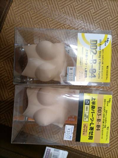 用挖煤姬切的dd胸配这么多再加几只手型只用了200元，比国内便宜太多了！而且竹蜻蜓专线速度非常快！感谢挖煤姬代购！