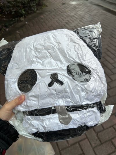 竹蜻蜓max物流到的非常快！！审批完成后几乎不到五天就到我手里了 太萌了熊猫大叔TT但是国际运费都快赶上玩偶本体了TT如果竹蜻蜓也可以用积分就好了 