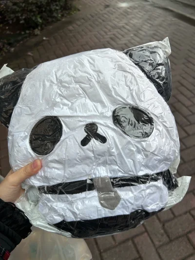 竹蜻蜓max物流到的非常快！！审批完成后几乎不到五天就到我手里了 太萌了熊猫大叔TT但是国际运费都快赶上玩偶本体了TT如果竹蜻蜓也可以用积分就好了 