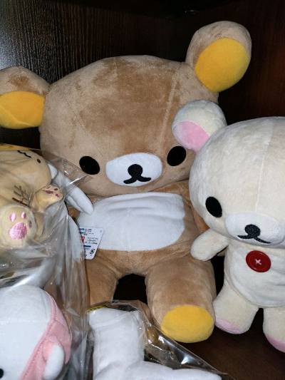 在骏河屋淘到的巨好价轻松熊，虽然很大一只，但是毛绒比较轻还可以压缩，所以运费不是很贵，到手又多塞了点棉花，加入我的轻松熊大军
