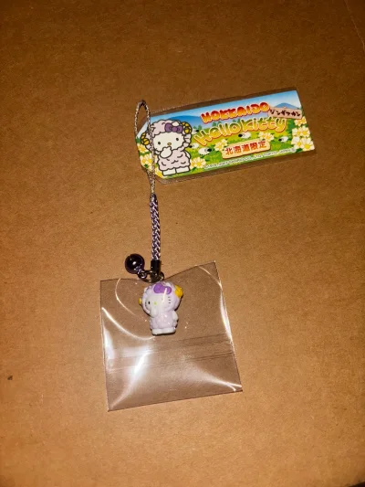 可爱暴击！ 挖煤姬的Kitty地域限定挂件太萌了！做工精细，颜色鲜艳，包装也超用心。物流超快，客服小姐姐超耐心，买到就是赚到，Kitty控必入！