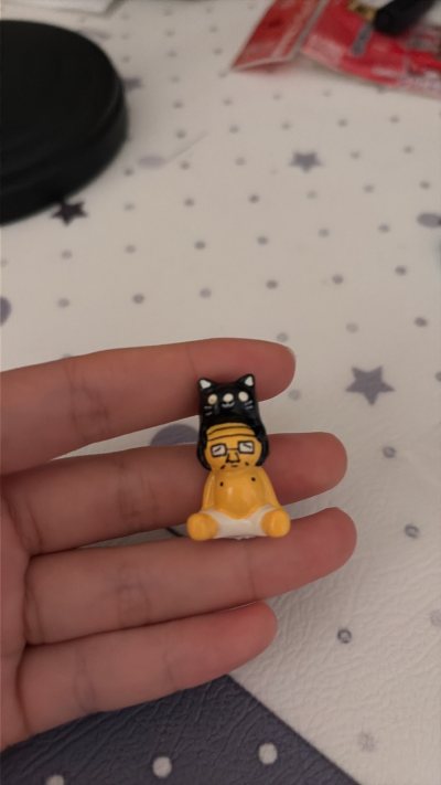 是一个好像是电视里的猫与老头，一只小猫趴在老头的头上，是一个啪啪材质的特别的可爱，带贝卡还送了一个便签本