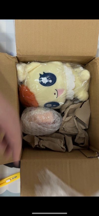 这次还是选的竹蜻蜓专线发货，包装严严实实，没有破损，运费差价也退的很快，而且和上一单竹蜻蜓只差了一天就拿到了，竹蜻蜓真的太省心了推荐推荐！！