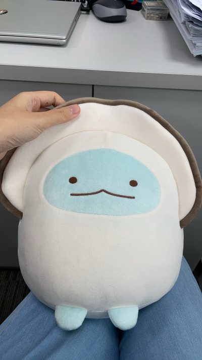 终于买到心心念念的牡蛎水龙qwq