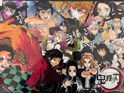 挖煤姬是我经常用的代购平台，搜索栏简洁明了，经常发优惠券，积分还可以抵扣运费，物流选择了竹蜻蜓专线，这次买的是鬼灭之刃日历，表面是烫金的，很惊喜！