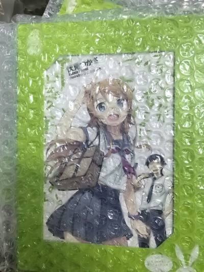 新出的竹蜻蜓Echo专线很好用，BD包税过关了，物流很快挖煤姬打包也很好。想要限定BD很久了，感谢姬姬让我将好物收入囊中