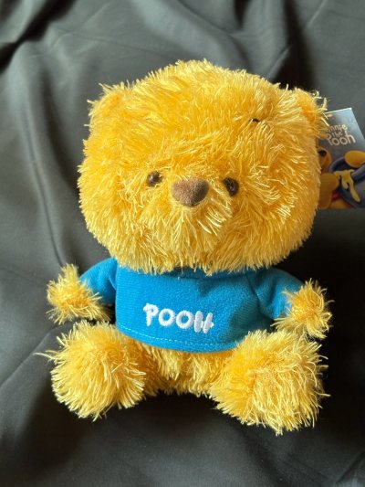 海淘到最爱的中古玩偶！