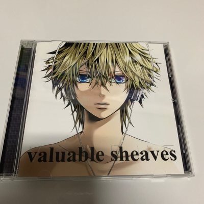 等了半个月的专辑CD终于到手了！拆开快递的瞬间就被包装戳中——磨砂质感的外盒搭配烫银logo，拿在手里高级感爆棚，连封套的插画都是限定版的新绘，色彩浓郁又细腻，光看包装就觉得值回票价！

放进播放器的那一刻更是惊喜：音质也太能打了！鼓点的低频沉稳不闷，主唱的人声通透...