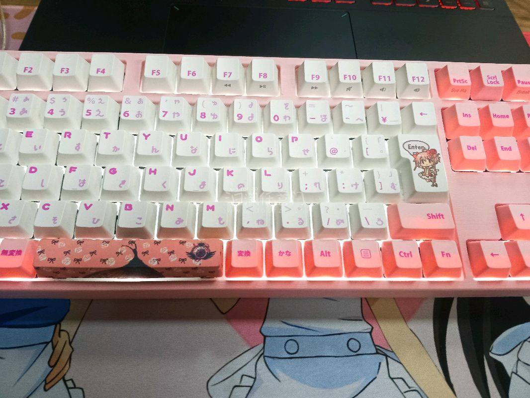 与其他的代购或软件相比，任意门算是一个性价比拉满的软件，能一直以最大优惠让顾客买到心仪产品，这次购入了一个小圆的键盘，虽然被税了有点割肉，但拿到货物后那种心情还是挺舒爽的