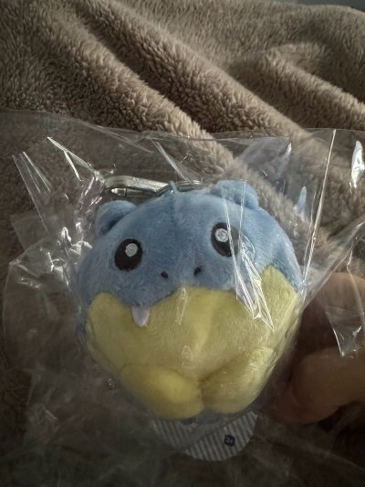 这次是第n次分享自己的日淘了，任意门包裹没有挤压破损，里面打开东西完好，这次买的是Everyday Happiness的来电汪零钱包，价格还可以，还有一个是韩代的海豹球钥匙扣，价格买贵了，但是品相都还不错，都是全新，非常可爱。