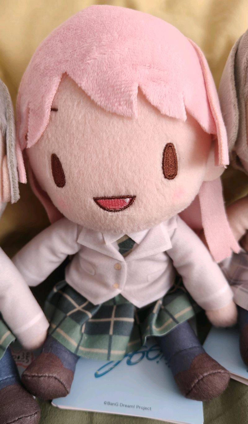 到了一箱毛绒，这次走的EMS，速度很快几天就到了，玩偶收到手也没有什么损伤，很满意，下次还会回购的。